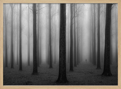 A moody black and white framed photograph of a person walking away through a dense forest on a foggy day. Tall, dark, leafless tree trunks stand in rows, disappearing into the thick, white mist, creating a sense of depth and mystery. Wall Art