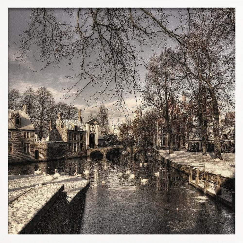 A vintage-style, framed photograph of a European canal scene in winter. Historic buildings and bare trees line the partially frozen canal, where several white swans are swimming. A light dusting of snow covers the canal banks and rooftops under a cloudy sky. Wall Art