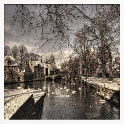 A vintage-style, framed photograph of a European canal scene in winter. Historic buildings and bare trees line the partially frozen canal, where several white swans are swimming. A light dusting of snow covers the canal banks and rooftops under a cloudy sky. Wall Art