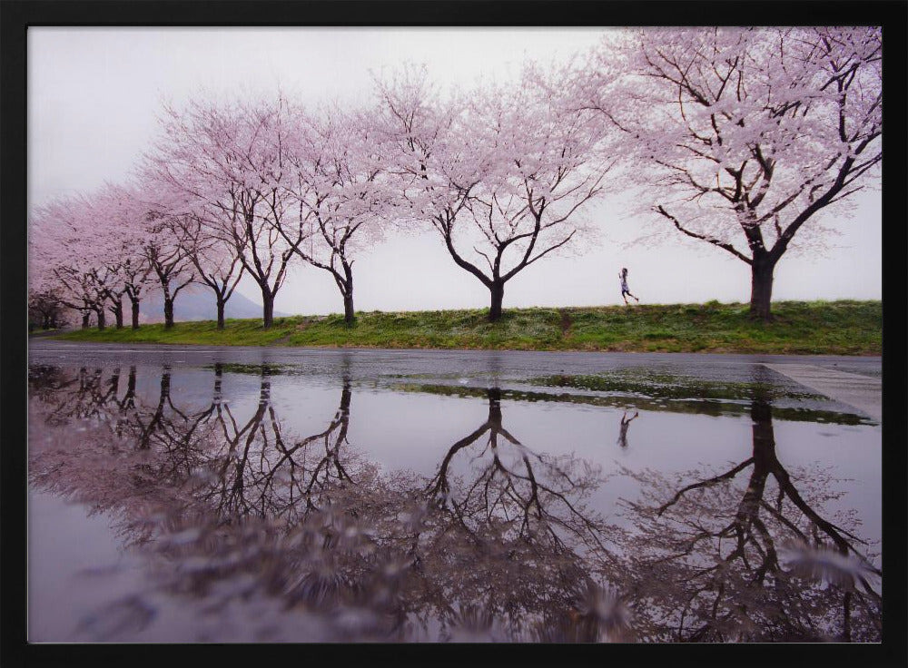 A framed photograph of a row of pink cherry blossom trees on a grey, overcast day, perfectly reflected in a large puddle on a wet road. A small figure of a person is seen running along the grassy bank in the distance. Poster