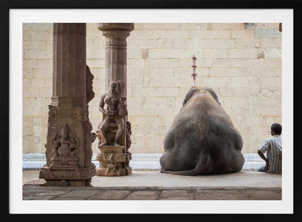 A framed photograph from behind a large elephant sitting on a stone floor inside a temple, flanked by ornate, carved stone pillars. A man in a striped shirt sits on the floor to the right of the elephant, looking towards it. Decor