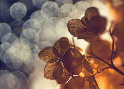 A beautiful light depicted on a poster or art print, suitable for home decor. Print