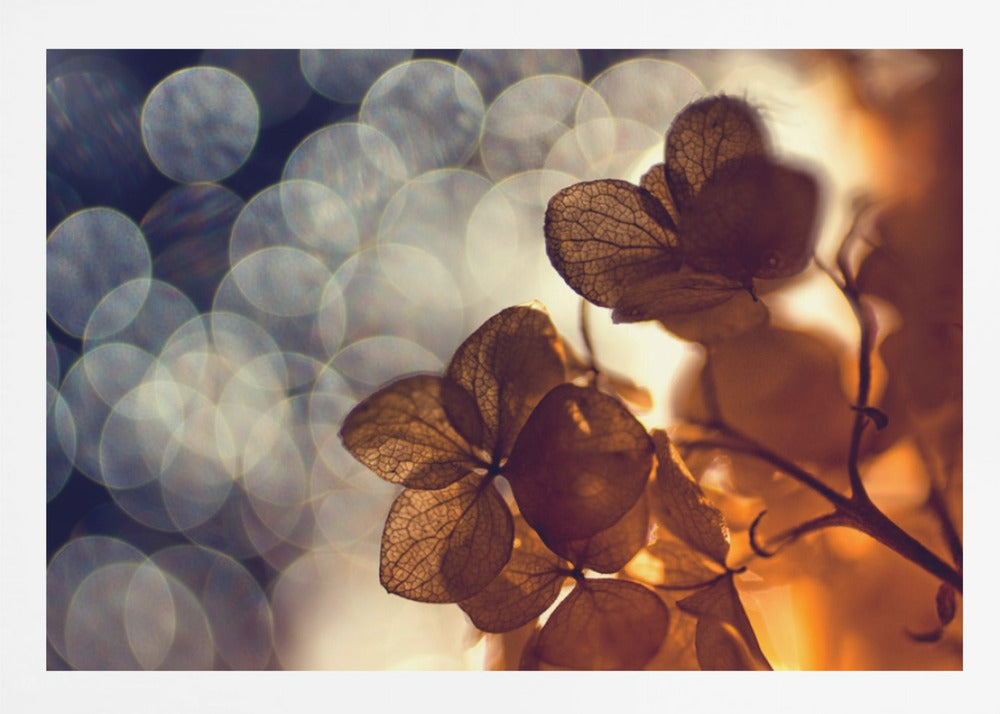 A beautiful light depicted on a poster or art print, suitable for home decor. Print