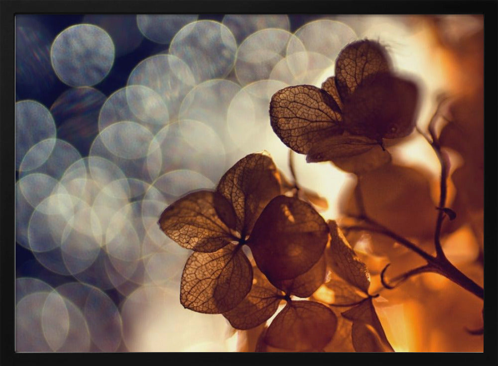 A beautiful light depicted on a poster or art print, suitable for home decor. Print