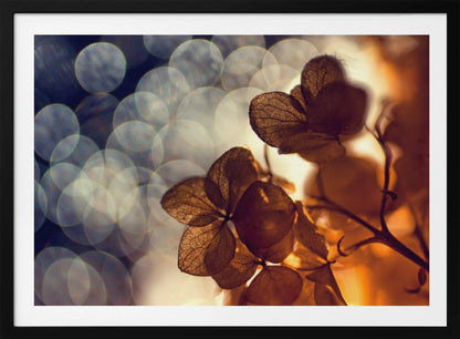 A beautiful light depicted on a poster or art print, suitable for home decor. Print