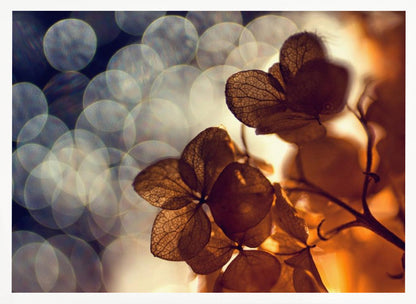 A beautiful light depicted on a poster or art print, suitable for home decor. Print