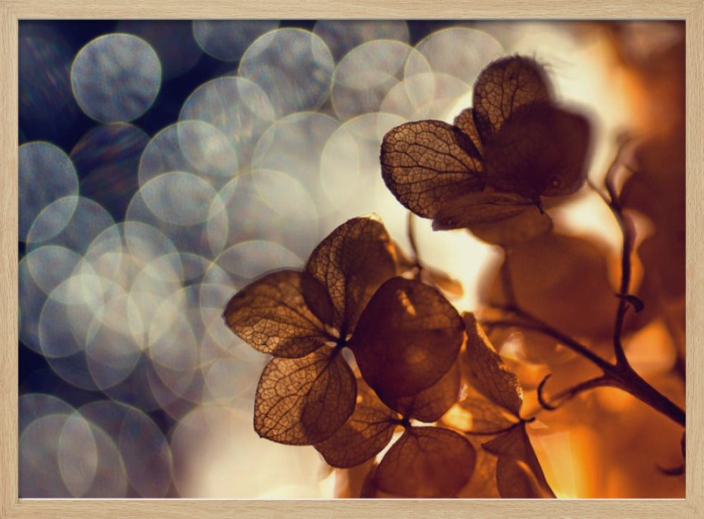 A beautiful light depicted on a poster or art print, suitable for home decor. Print