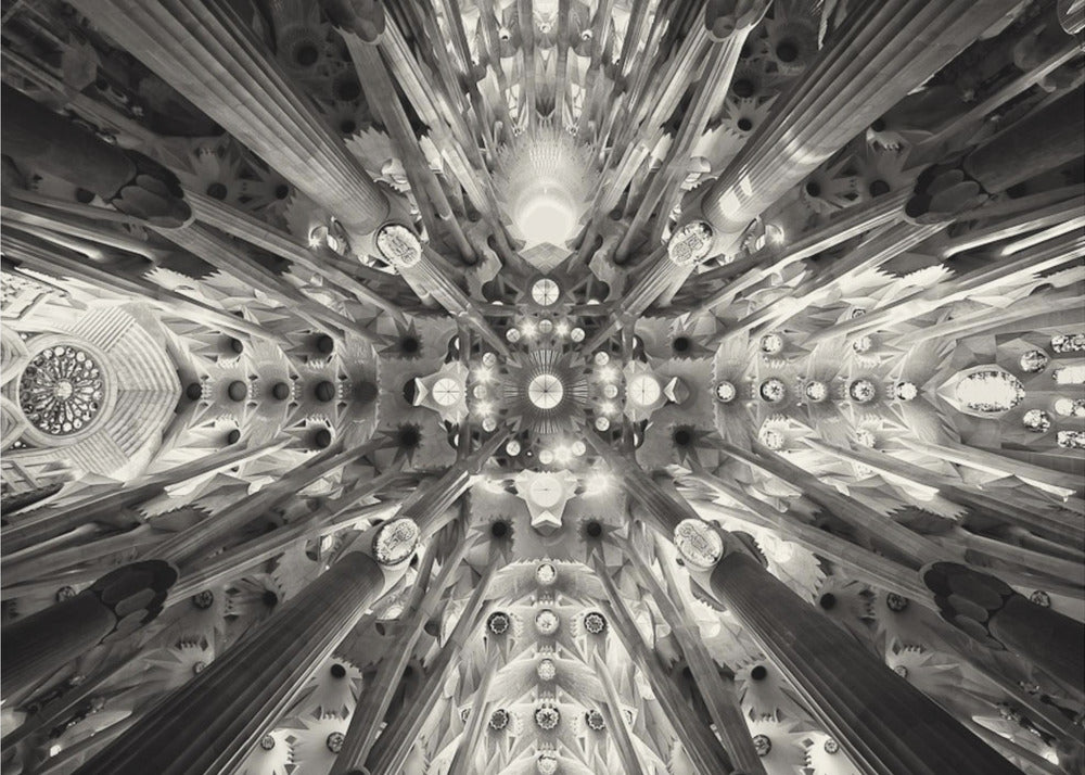 A framed black and white photograph captures the breathtaking, symmetrical ceiling of Gaudí's Sagrada Familia basilica, viewed directly from below. The massive columns rise and branch out like a forest canopy, creating a complex and mesmerizing architectural pattern of vaults, ribs, and skylights. Artwork