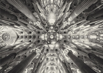 A framed black and white photograph captures the breathtaking, symmetrical ceiling of Gaudí's Sagrada Familia basilica, viewed directly from below. The massive columns rise and branch out like a forest canopy, creating a complex and mesmerizing architectural pattern of vaults, ribs, and skylights. Artwork