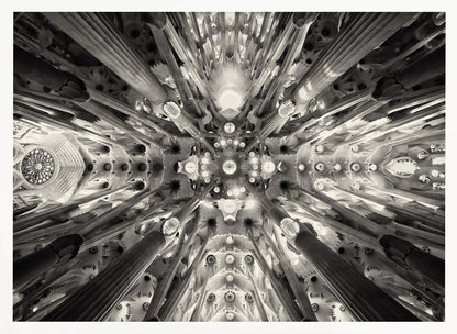 A framed black and white photograph captures the breathtaking, symmetrical ceiling of Gaudí's Sagrada Familia basilica, viewed directly from below. The massive columns rise and branch out like a forest canopy, creating a complex and mesmerizing architectural pattern of vaults, ribs, and skylights. Artwork