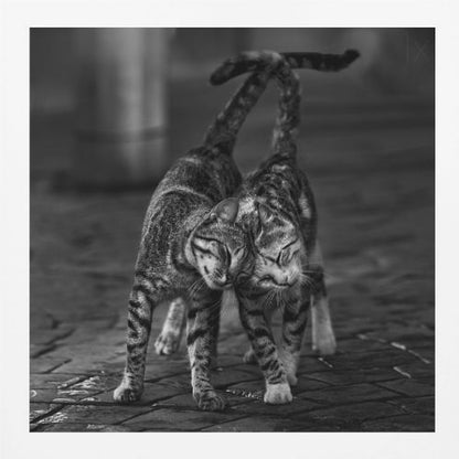 A black and white framed photograph capturing an affectionate moment between two tabby cats. They are rubbing their heads together with eyes closed, and their tails are intertwined above them, creating a heart-like shape. Decor