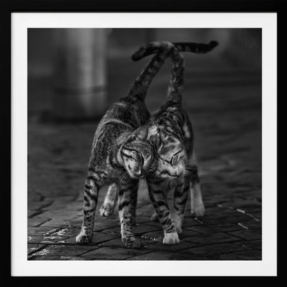 A black and white framed photograph capturing an affectionate moment between two tabby cats. They are rubbing their heads together with eyes closed, and their tails are intertwined above them, creating a heart-like shape. Decor
