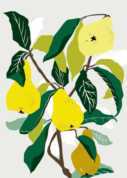 variant-50x70_no-margin