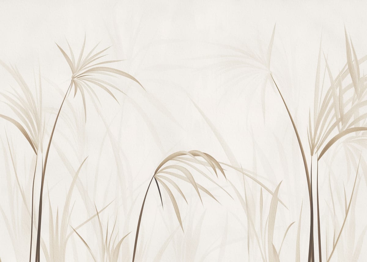 variant-50x70_no-margin