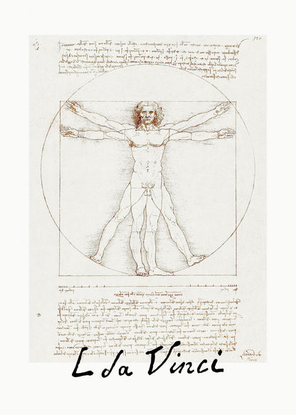 variant-50x70_no-margin