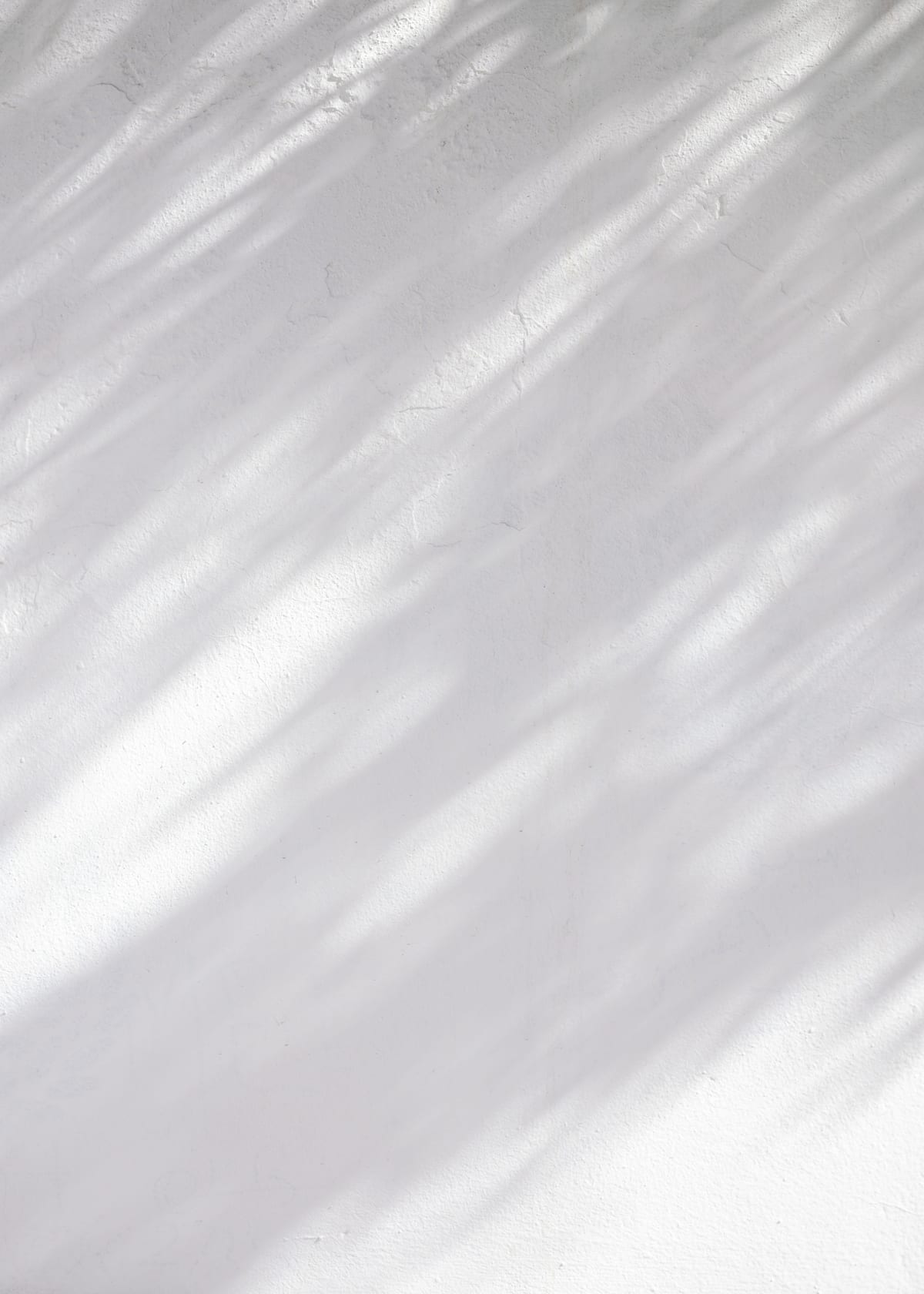 variant-50x70_no-margin