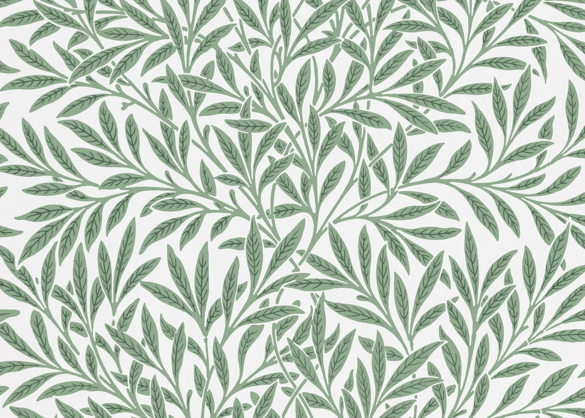 variant-50x70_no-margin