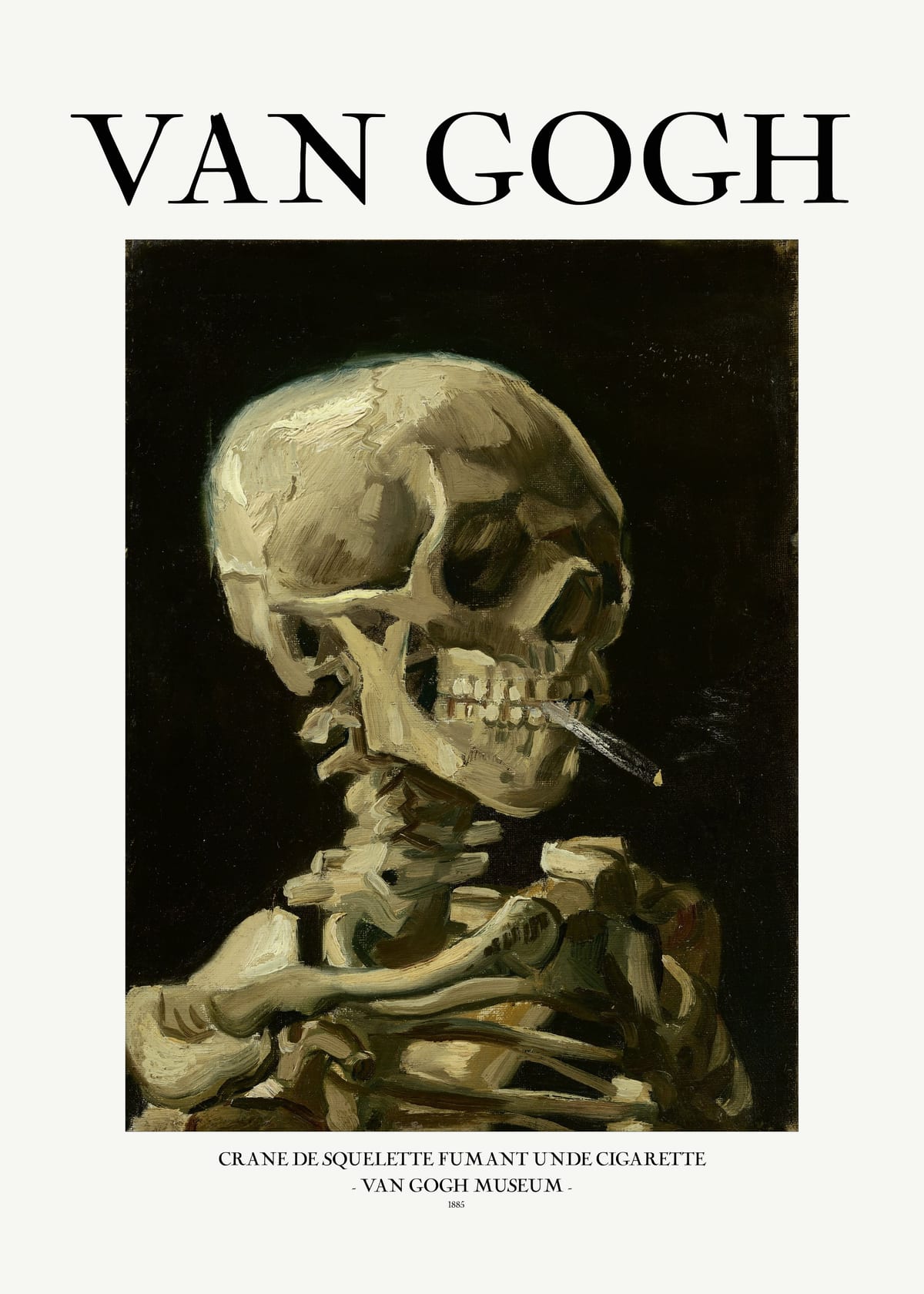variant-50x70_no-margin