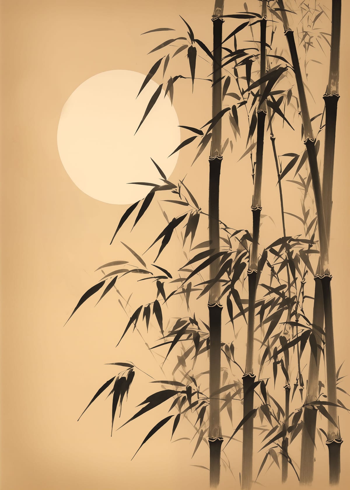 variant-50x70_no-margin
