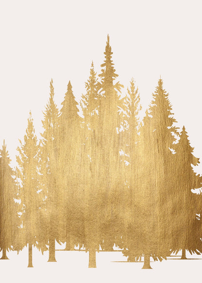 variant-50x70_no-margin