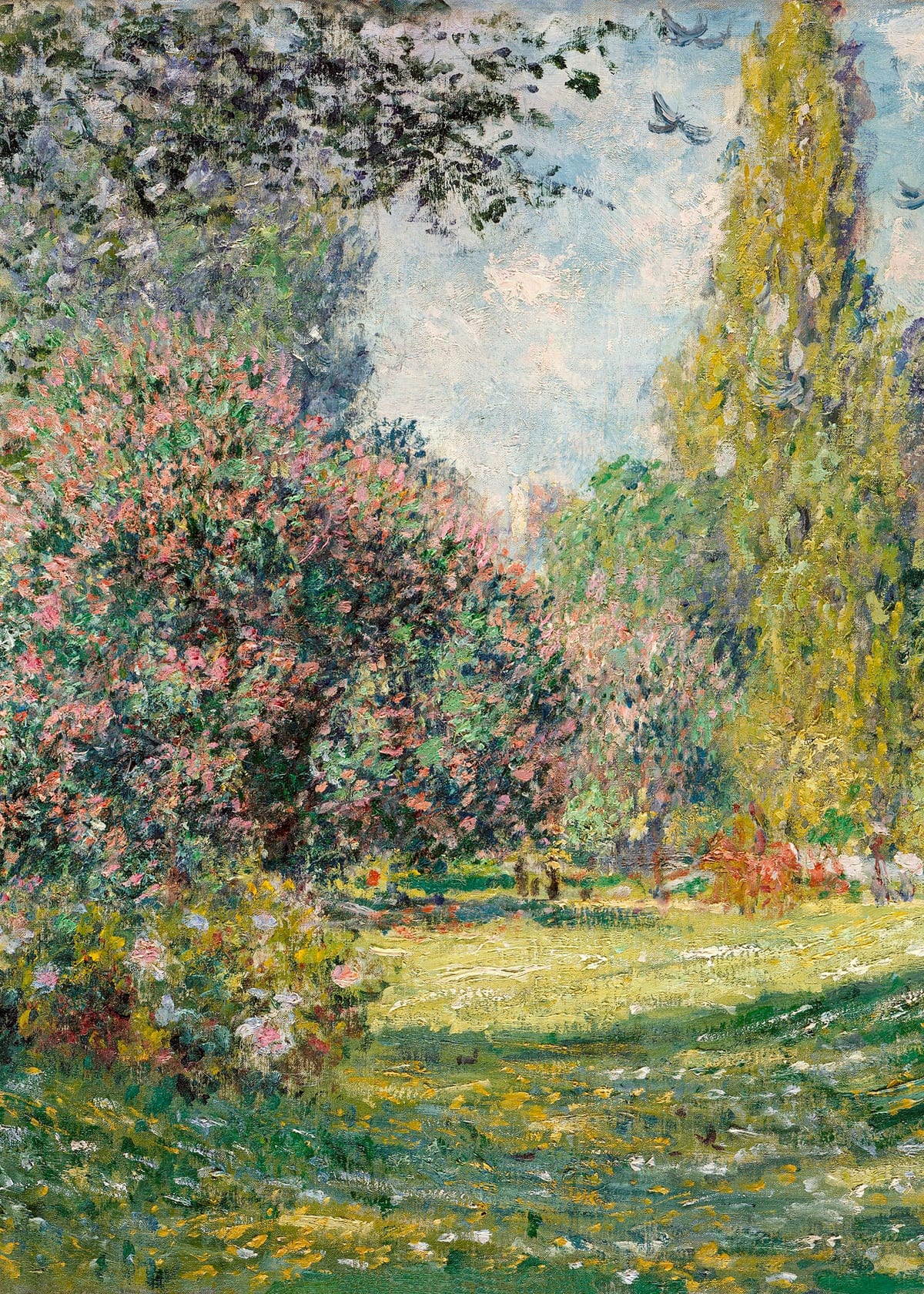 variant-50x70_no-margin