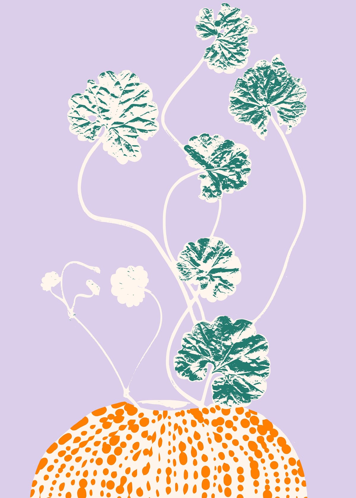 variant-50x70_no-margin