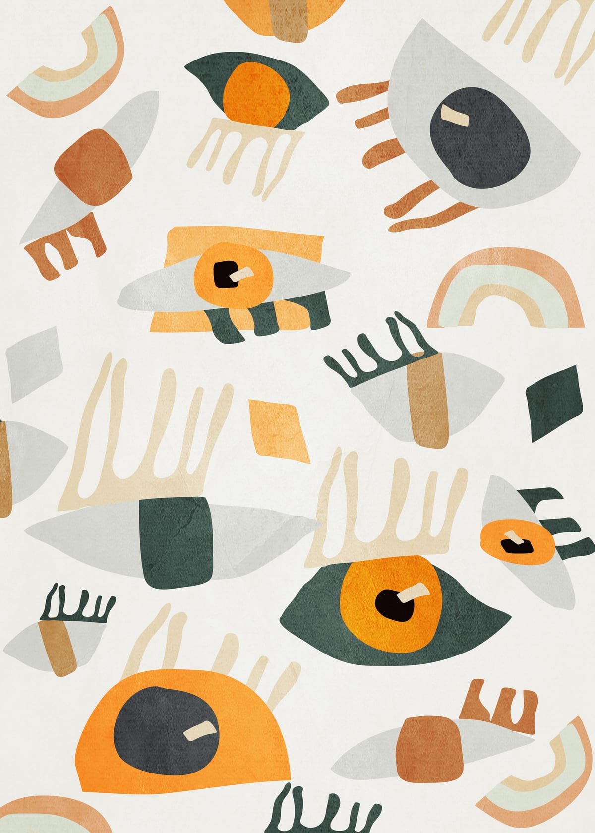 variant-50x70_no-margin