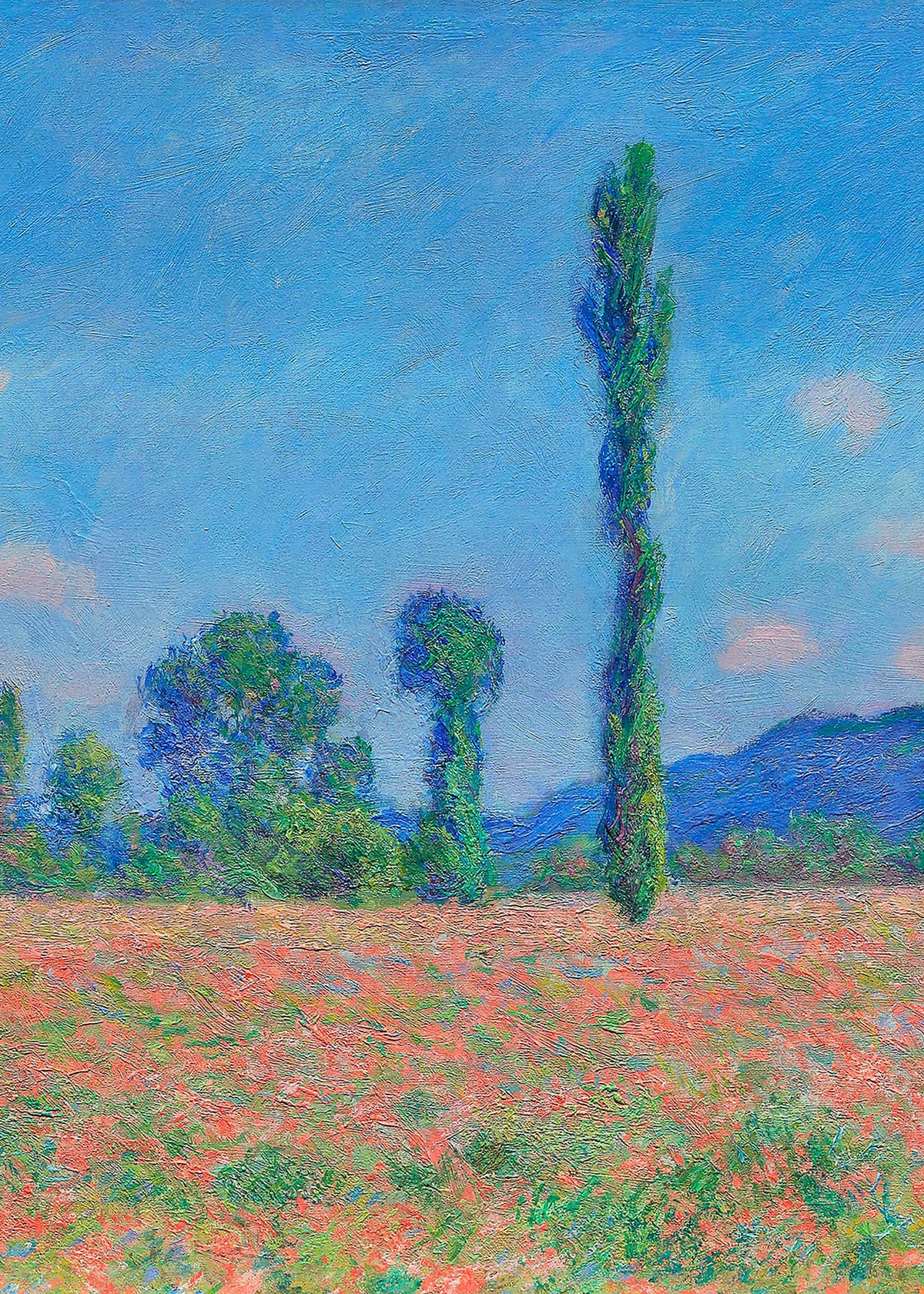variant-50x70_no-margin