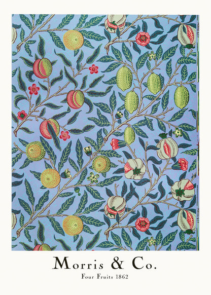 variant-50x70_no-margin