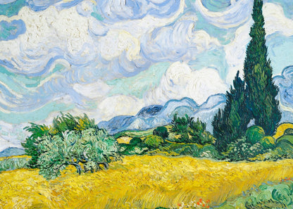 variant-50x70_no-margin