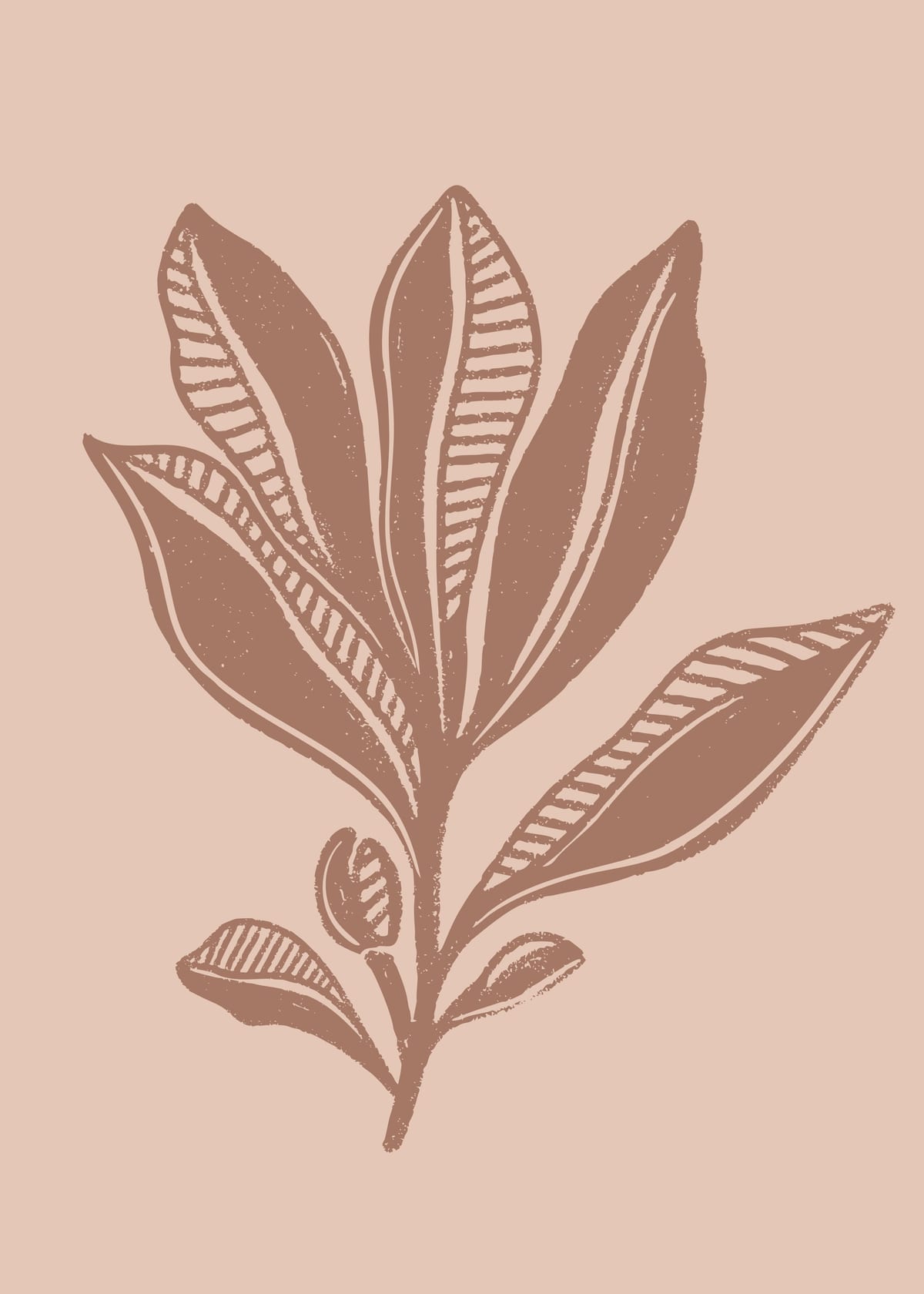 variant-50x70_no-margin