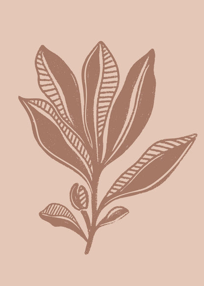 variant-50x70_no-margin