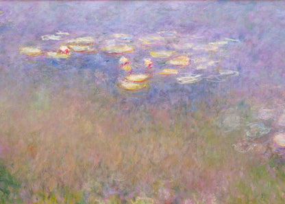 variant-50x70_no-margin