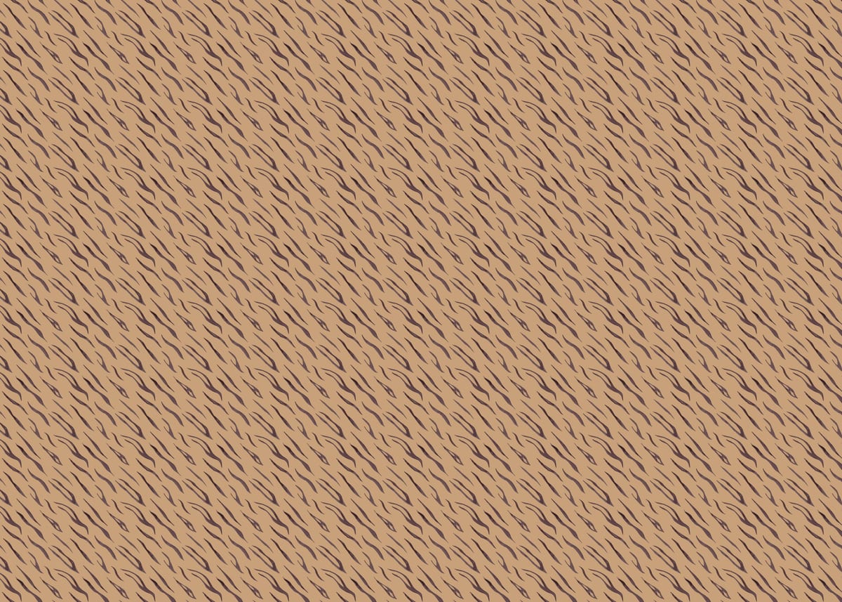 variant-50x70_no-margin
