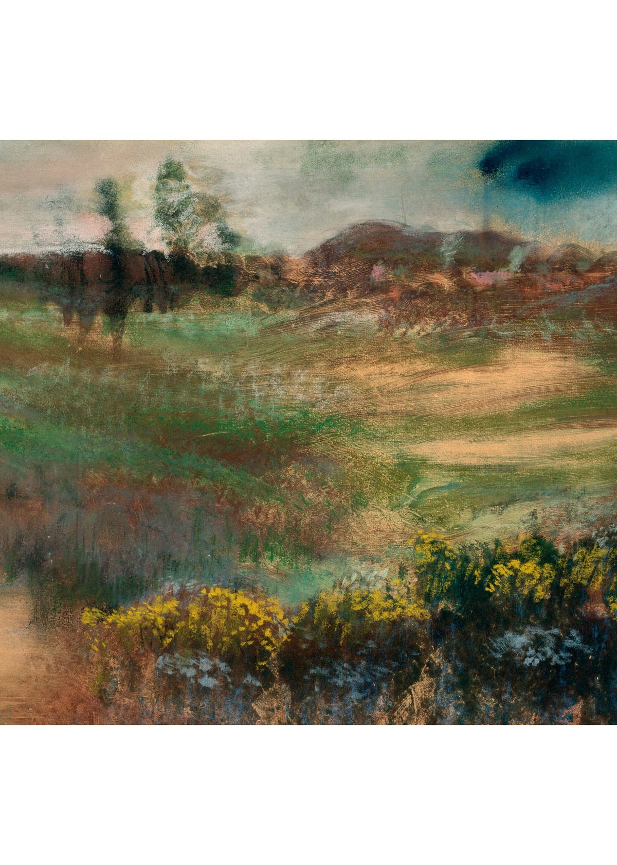 variant-50x70_no-margin