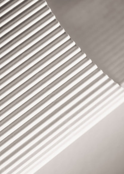 variant-50x70_no-margin