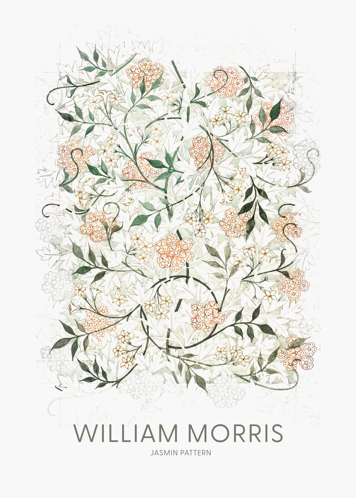 variant-50x70_no-margin