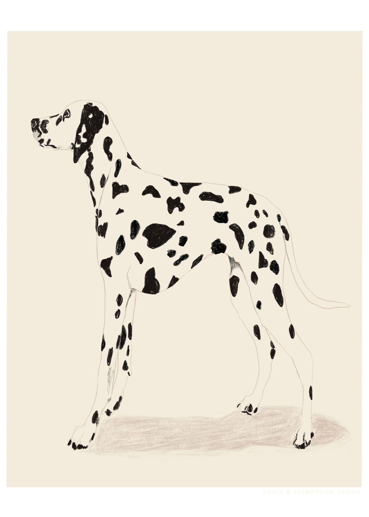 variant-50x70_no-margin