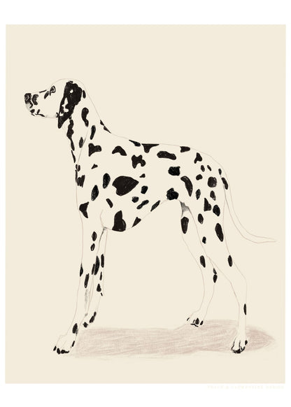 variant-50x70_no-margin