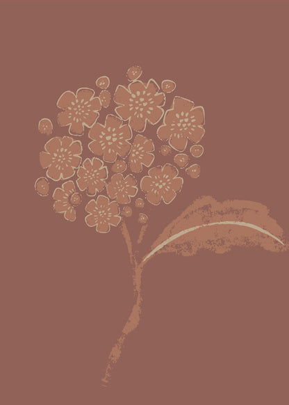 variant-50x70_no-margin