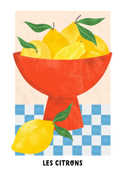 variant-50x70_no-margin