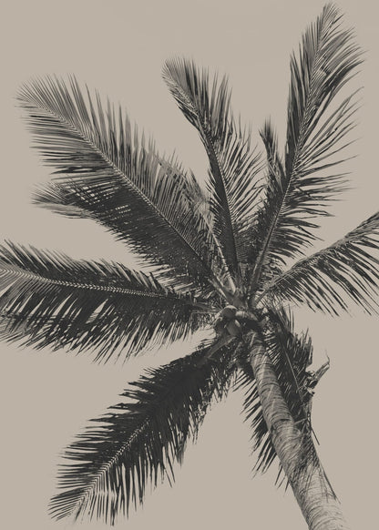 variant-50x70_no-margin