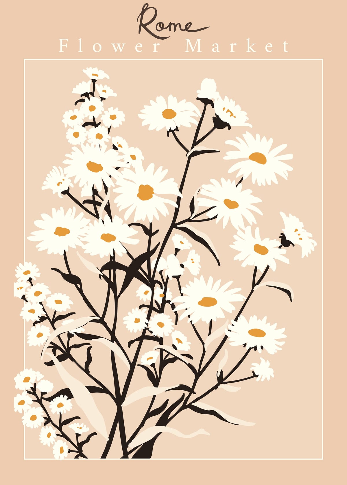 variant-50x70_no-margin