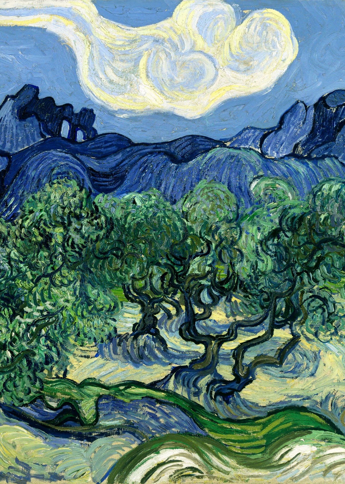 variant-50x70_no-margin