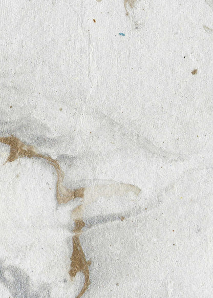 variant-50x70_no-margin