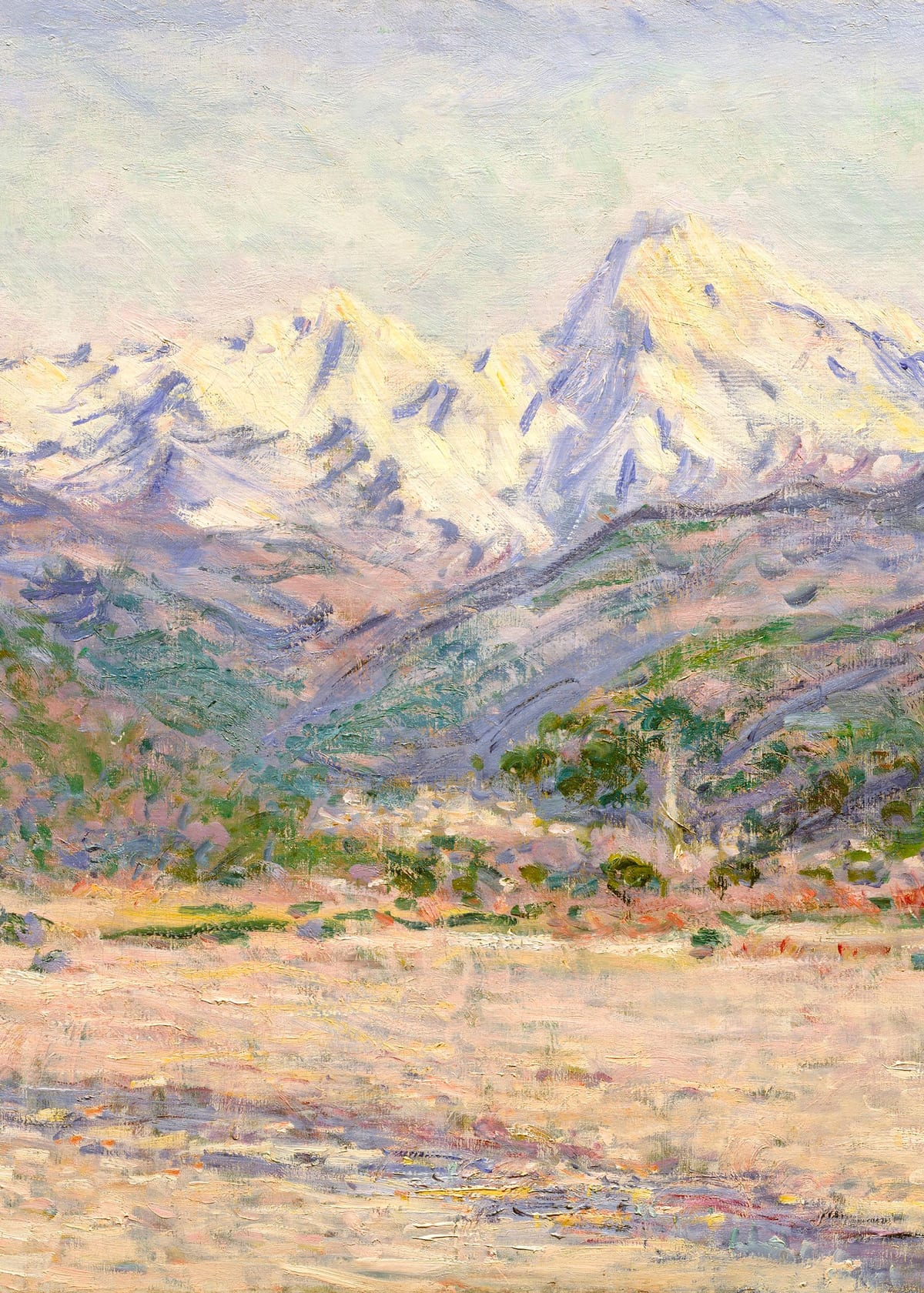 variant-50x70_no-margin
