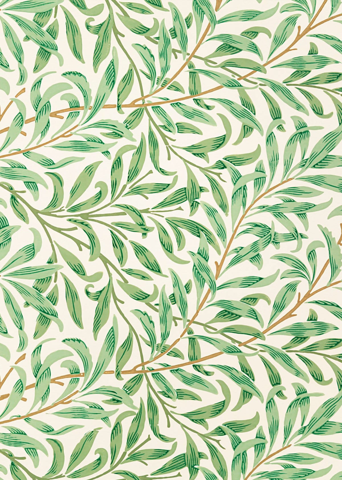 variant-50x70_no-margin