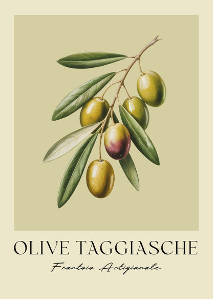 variant-50x70_no-margin