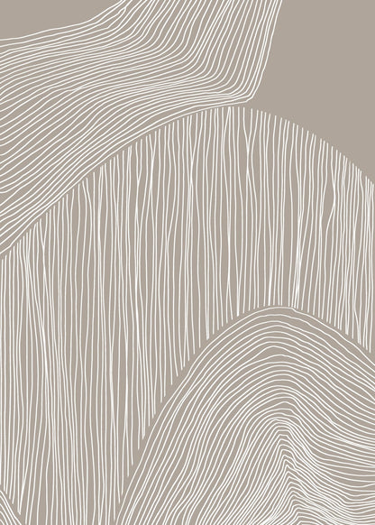 variant-50x70_no-margin
