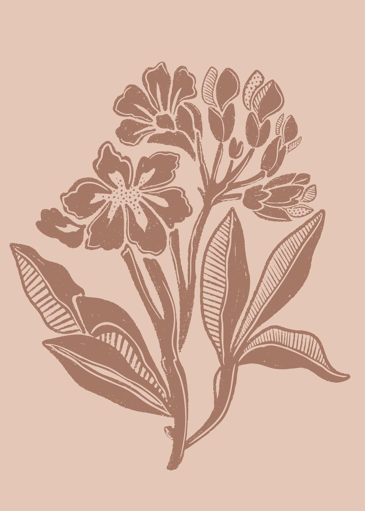 variant-50x70_no-margin